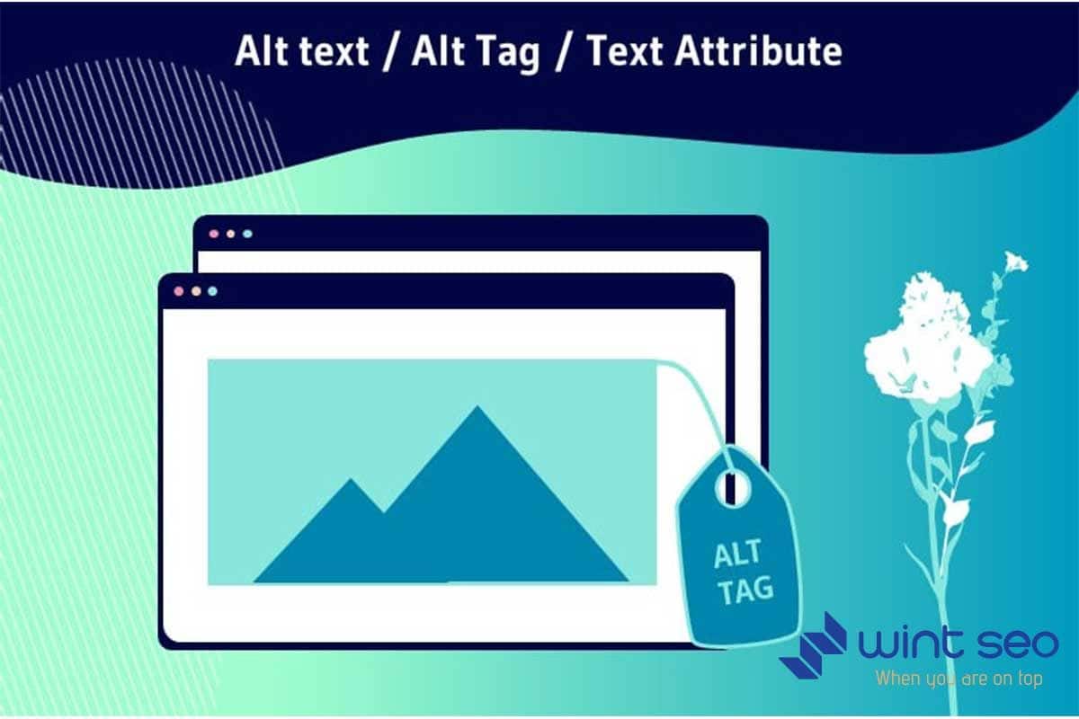 متن جایگزین تصویر (تگ Alt) چیست و چرا استفاده از آن در سئو ضروری است؟